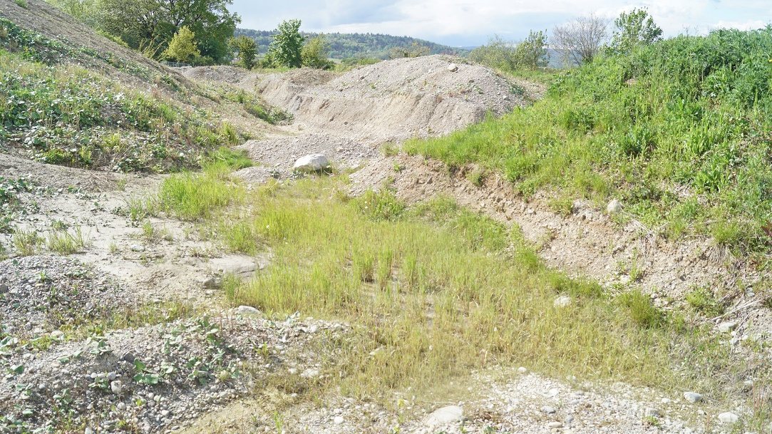 Kiesige Randflächen mit periodischer Wasserführung auf dem Motocross-Areal Gishalde – Lebensraum der Kreuzkröte