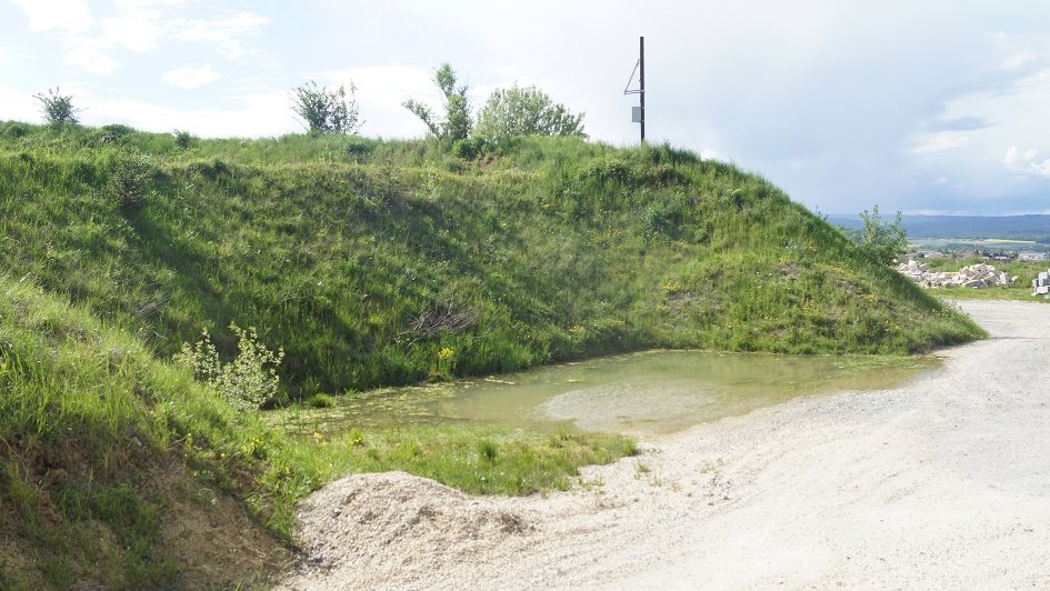 Tümpel am Fuss eines begrünten Walls auf dem Motocross-Areal Gishalde – Lebensraum von Kreuzkröte, Gelbbauchunke und Laubfrosch