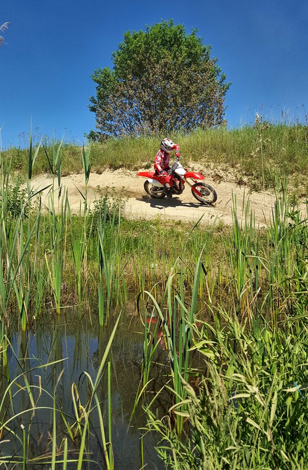 Motocross Biotop Gishalde Schlatt – Kiesflächen und Weiher als Lebensraum für Kreuzkröte, Gelbbauchunke und Laubfrosch