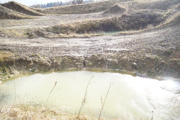 Weiher mitten in der Motocross Piste Gishalde Schlatt – Amphibien-Lebensraum