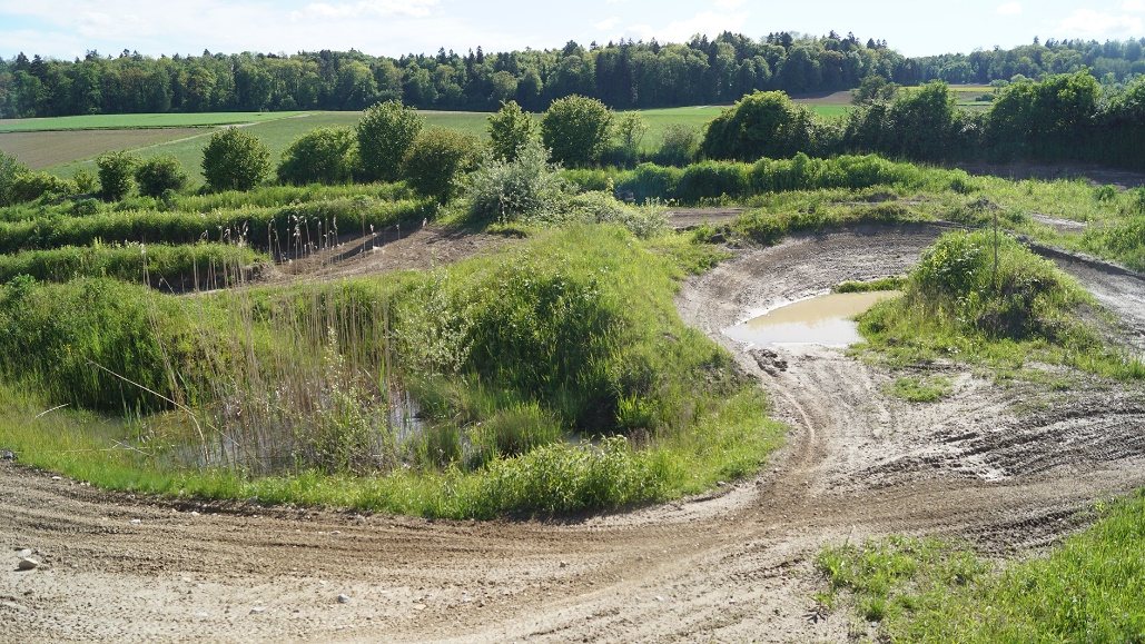 Weiher und Schilfflächen zwischen den Strecken der Motocross Anlage Schlatt
