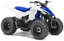 Quad ATV kaufen - Yamaha YFZ 50 2017